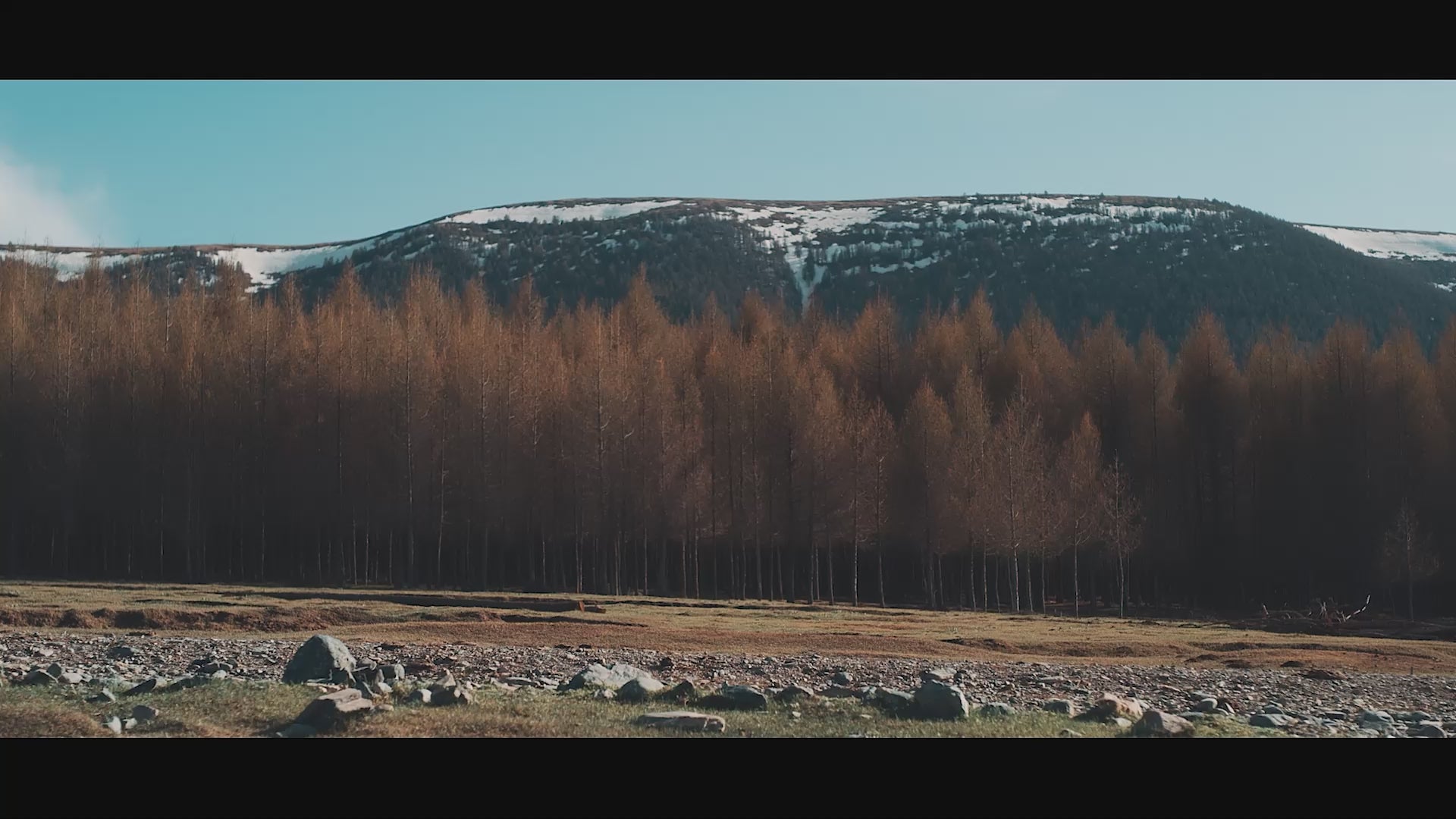 Load video: 